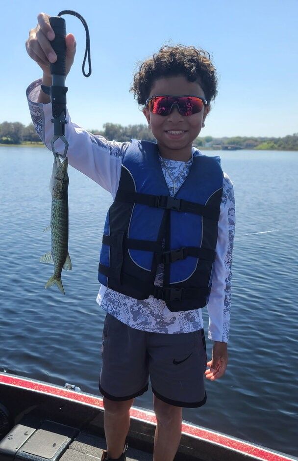 Chain pickerel caught while fishing on a lake with boat and clear blue sky