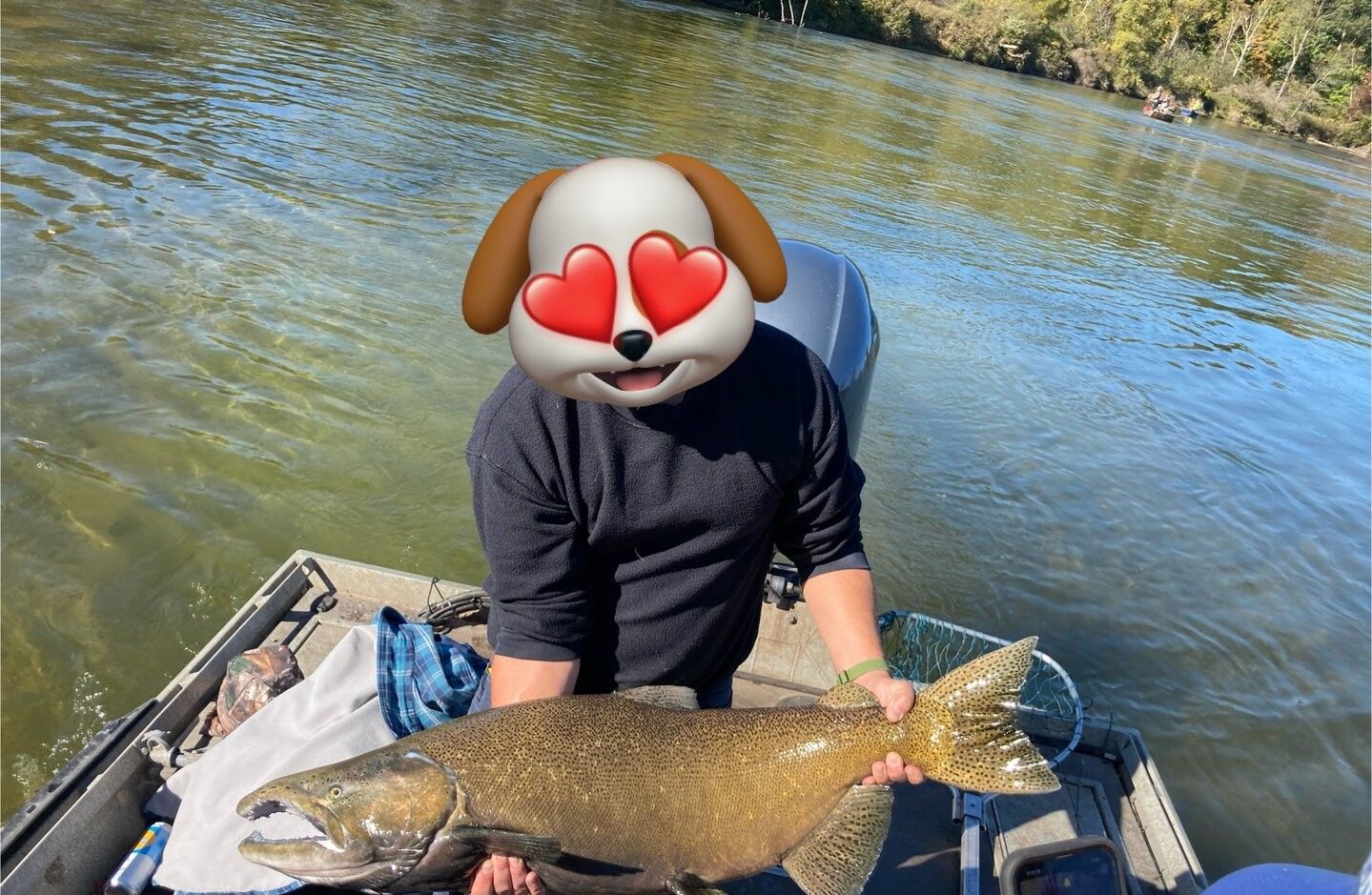 Chinook salmon caught while fishing from boat on river