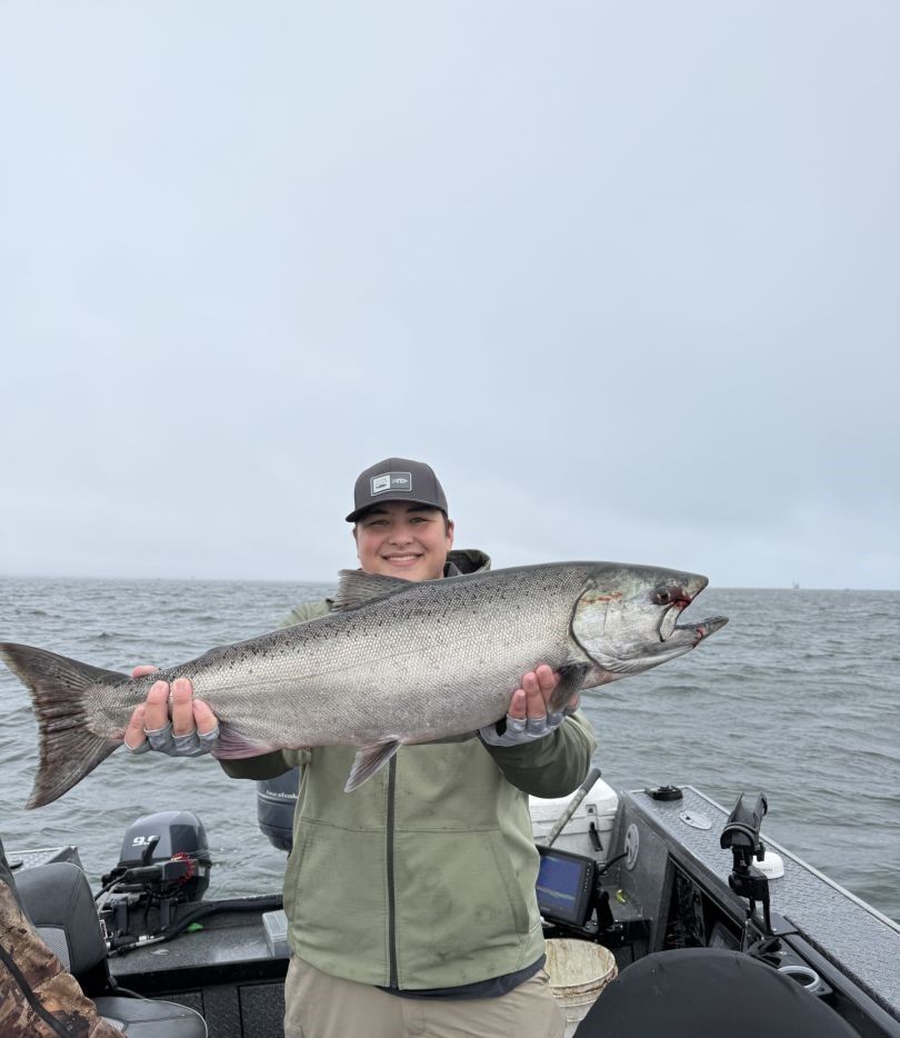 Chinook salmon caught while fishing