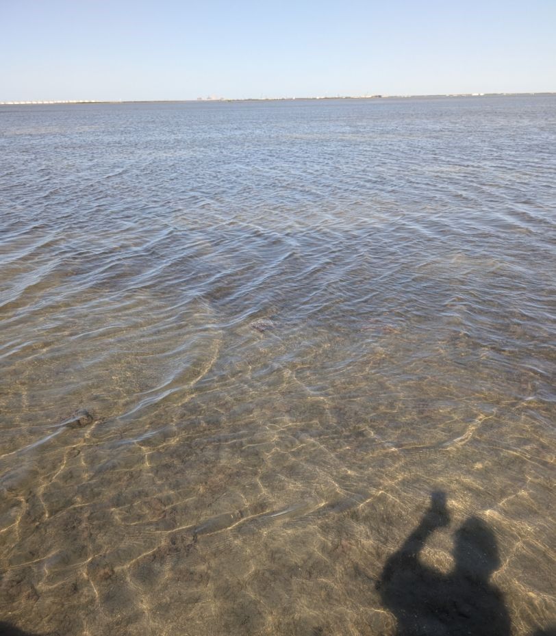 Clear shallow water with sandy bottom and gentle ripples under blue sky