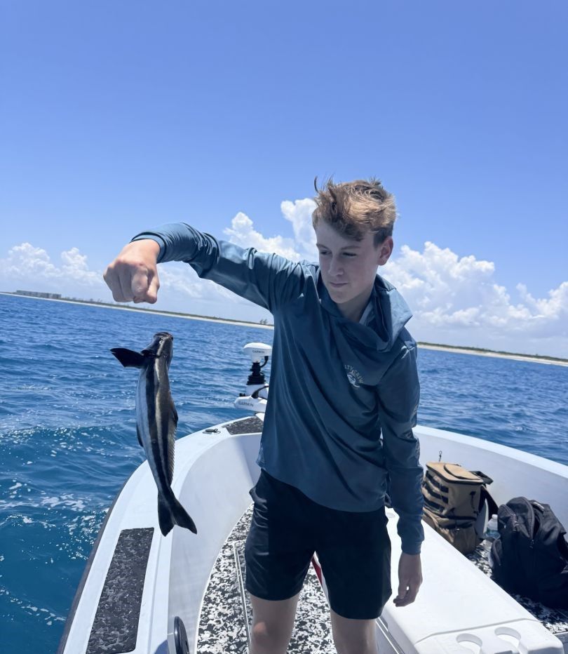 Cobia caught while fishing on boat in blue ocean waters