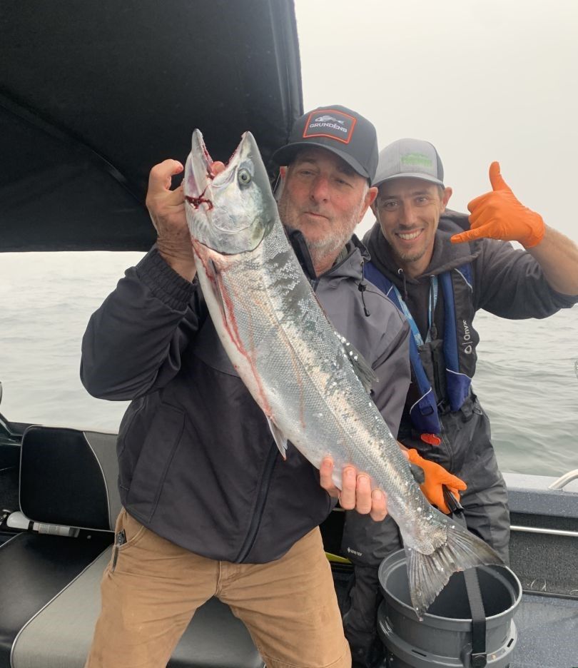 Coho salmon catch displayed on fishing boat deck