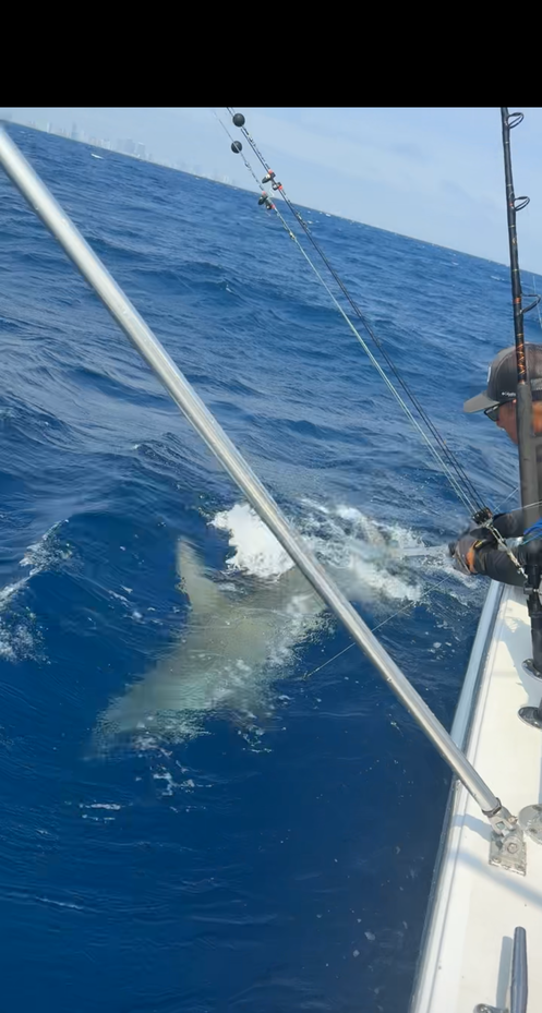 Large fish creating splash and disturbance in deep blue ocean water next to fishing boat