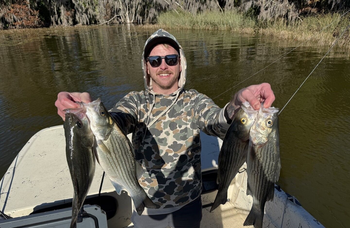 Angler holding two striped bass caught while fishing from boat on calm water