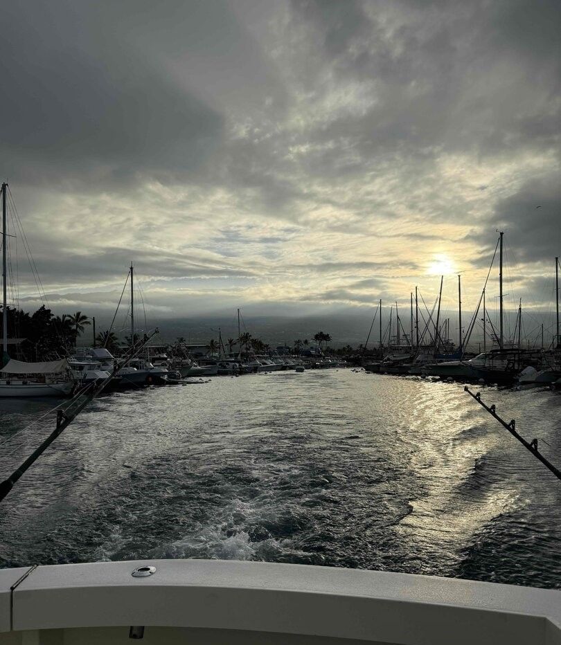 Marina with boats and sailboats moored at harbor during overcast sunset