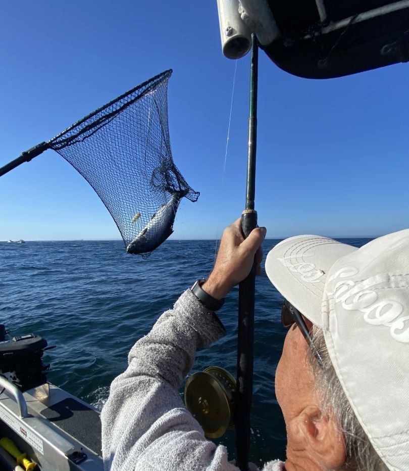 Fisherman enjoying a great day of fishing at an unknown location