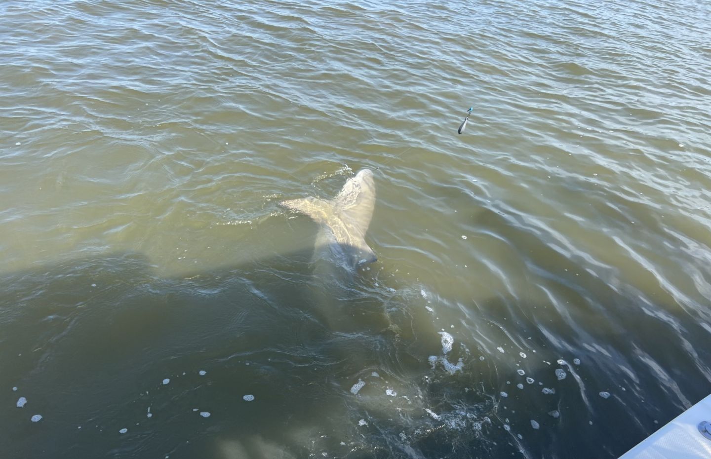 Fishing at an unknown location