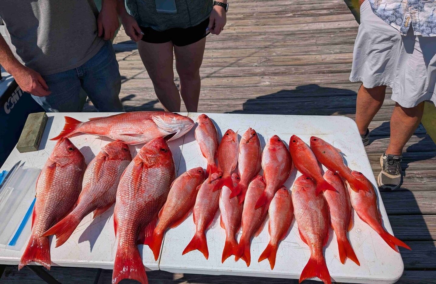 10 fish caught in a fishing trip