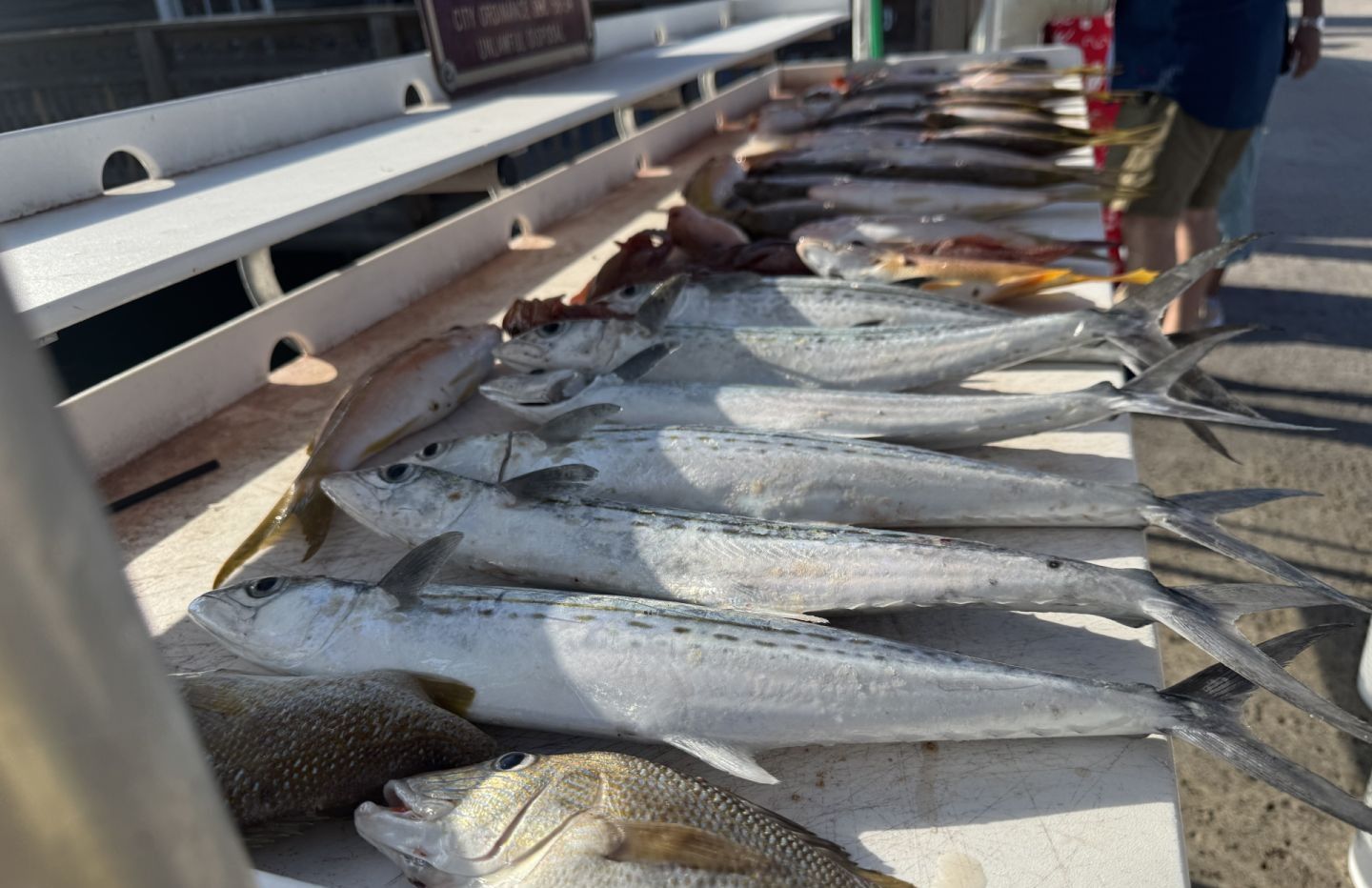 Fishing at unknown location