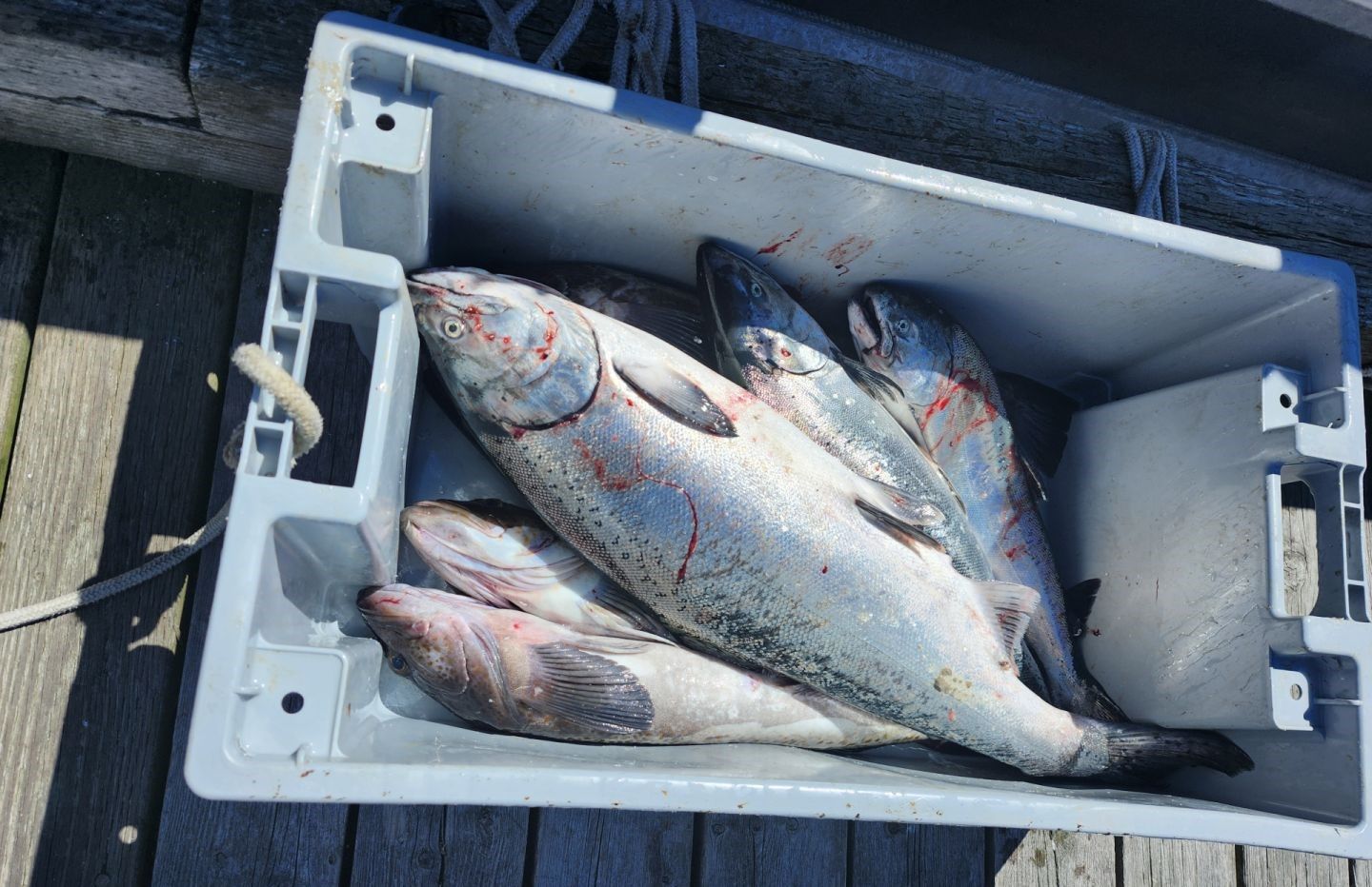 Fishing in an unknown location