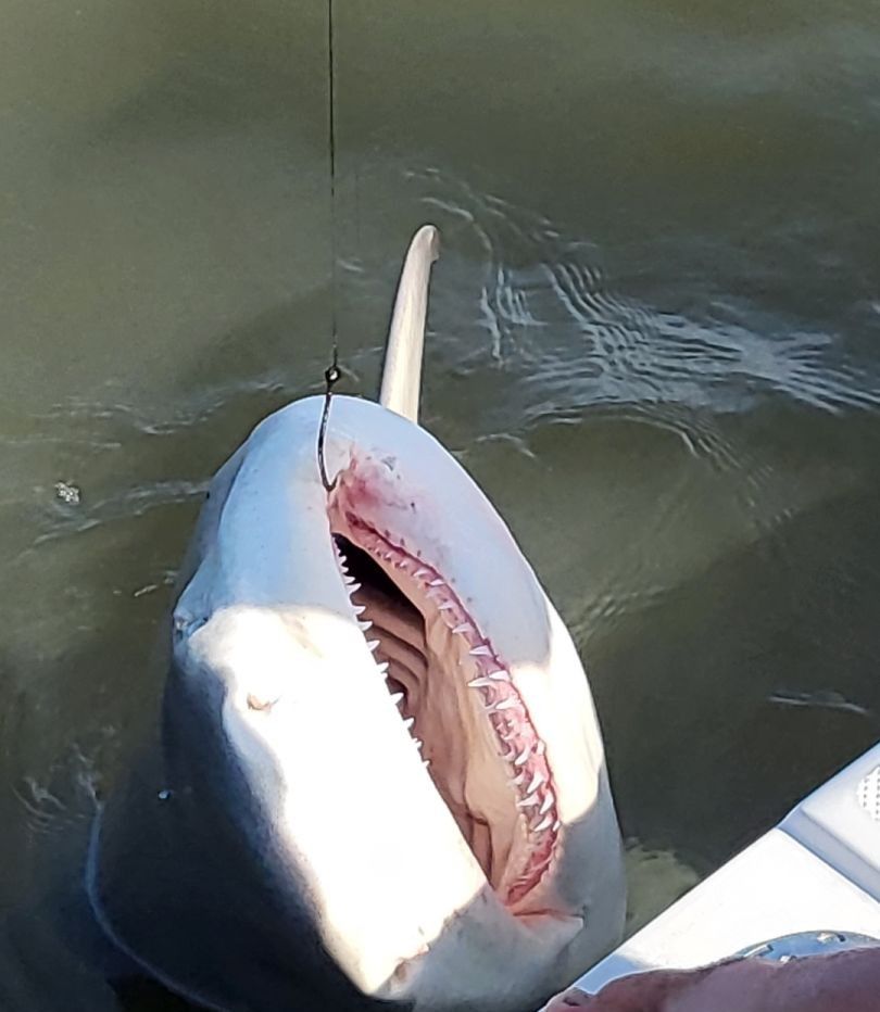 Fishing at unknown location