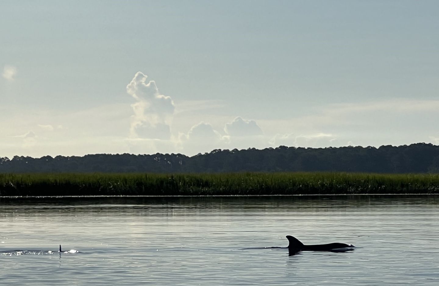 A fishing adventure at an unknown location