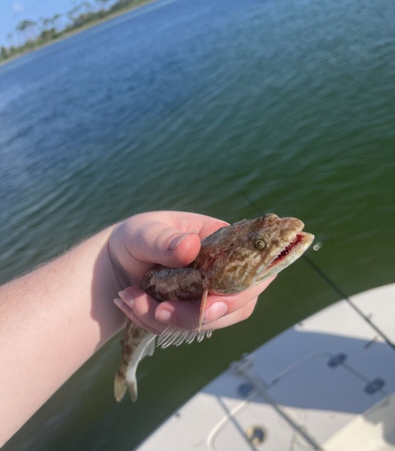 Fishing at unknown location