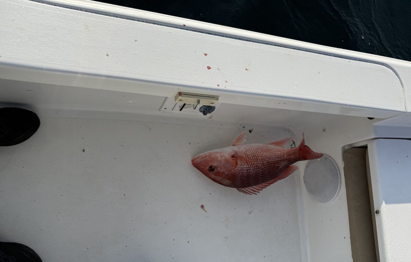 Fishing adventure at unknown location