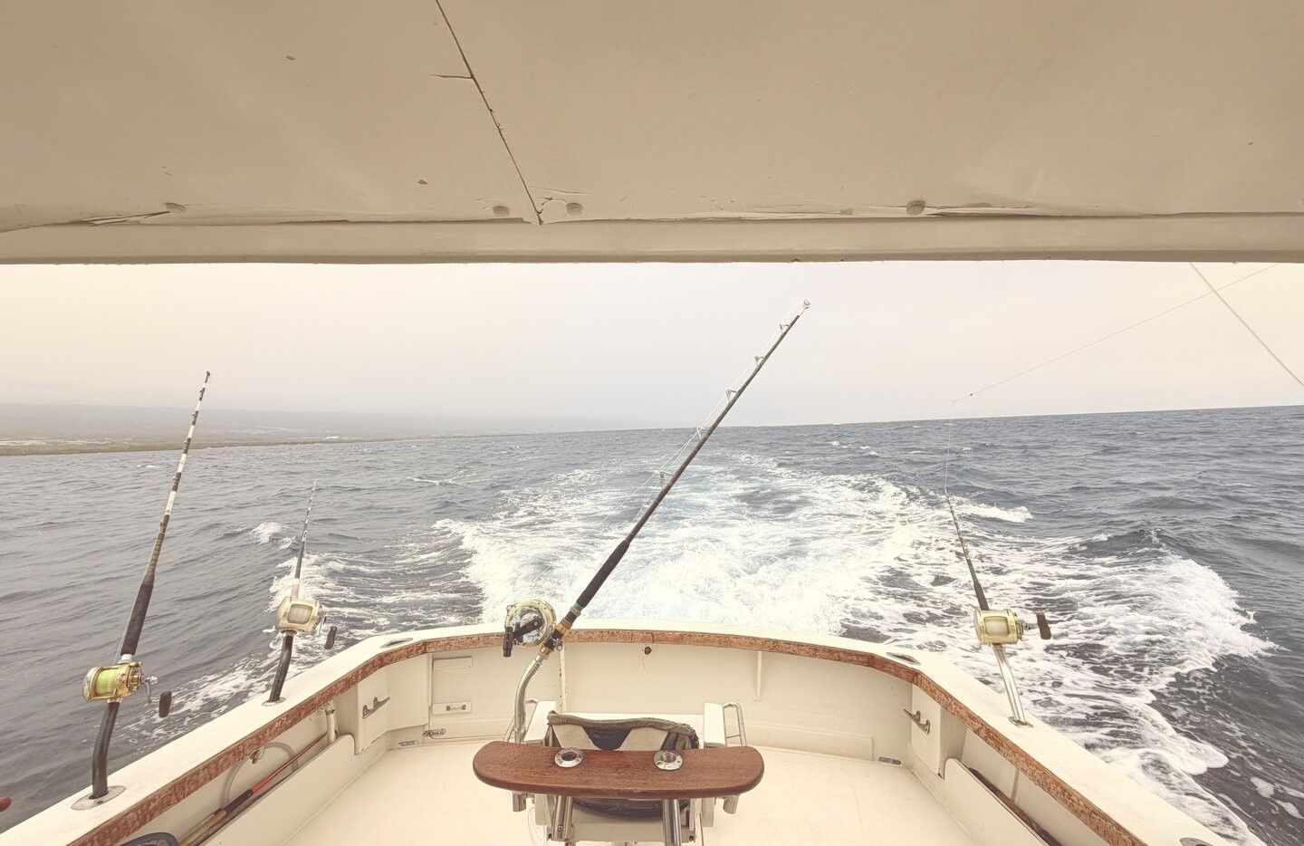 View from stern of fishing boat showing wake and multiple fishing rods deployed