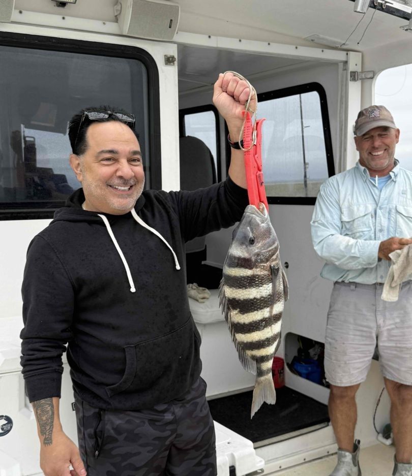 Sheepshead fish caught while fishing