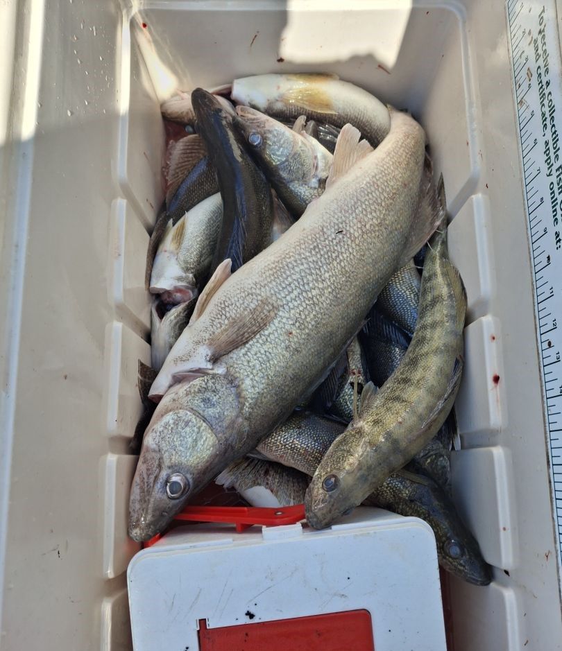Two anglers fishing in an unknown location