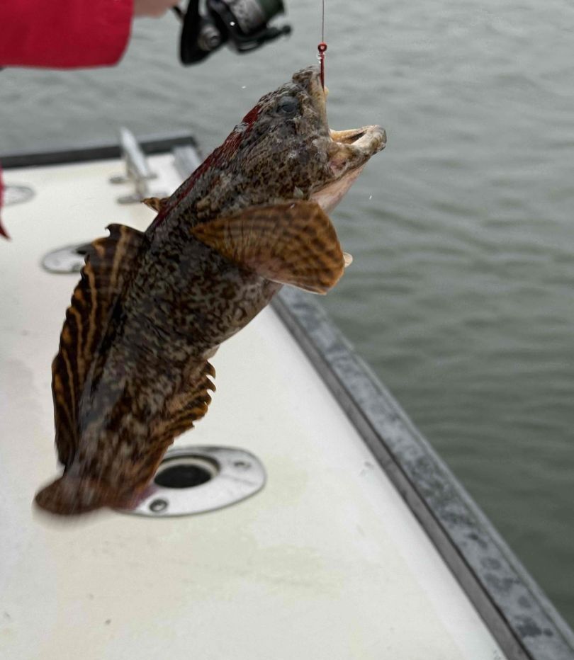 Fishing at unknown location
