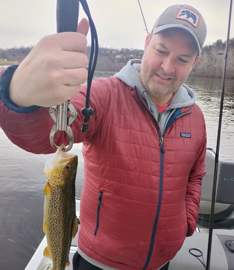 A single rainbow trout being caught while fishing