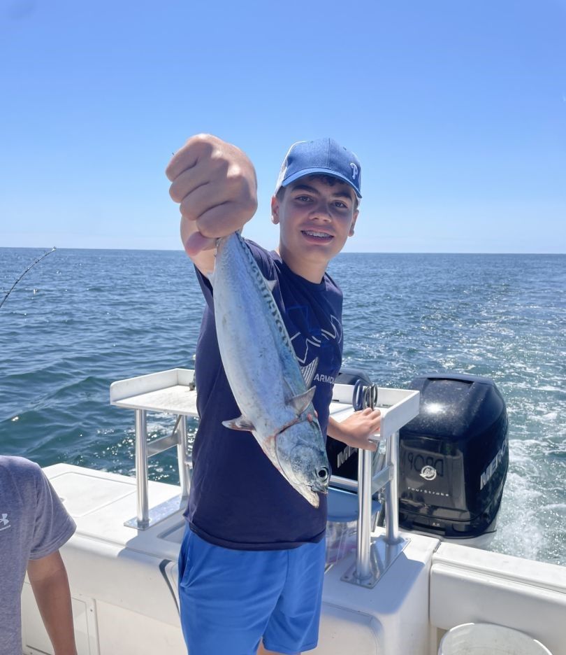 Fresh caught fish being displayed on fishing boat deck over ocean water