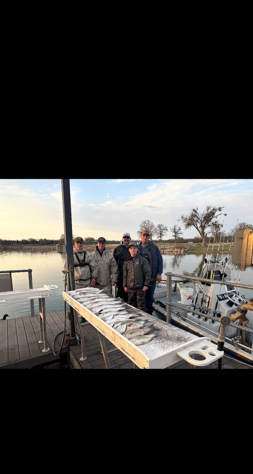 Fresh caught fish displayed on cleaning table at fishing dock with boat in background