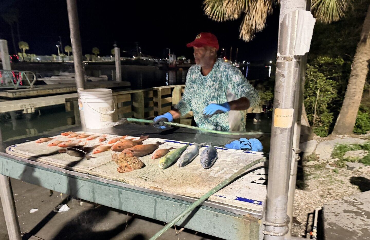 Fresh fish displayed on cleaning table at marina dock at night