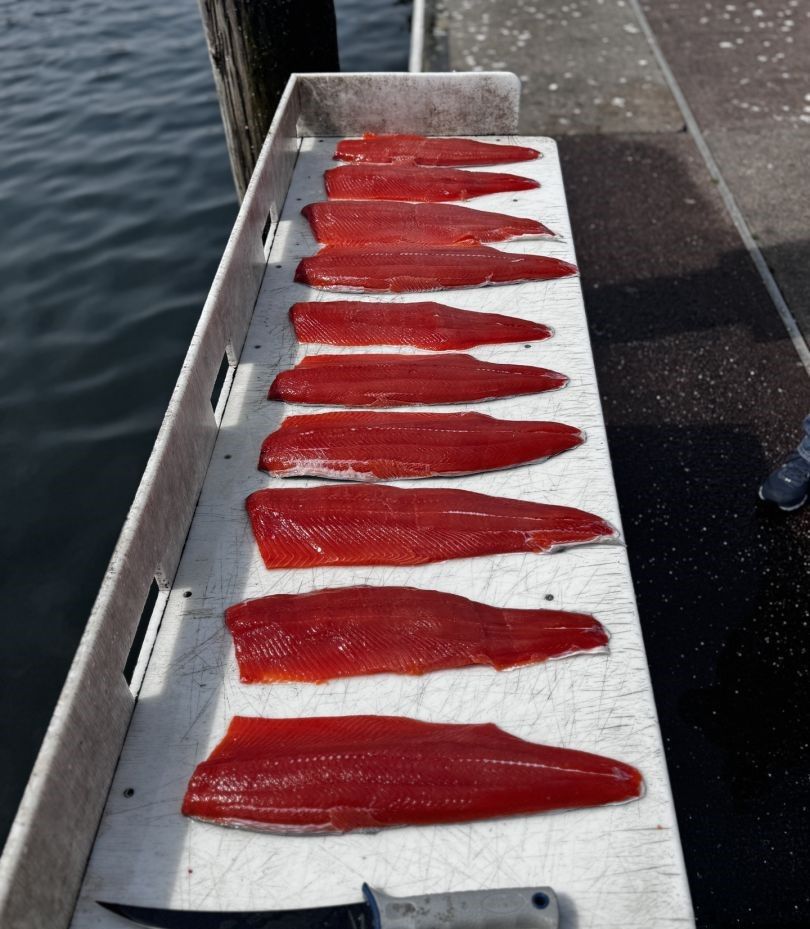 Fresh red fish fillets arranged on cleaning station at dock
