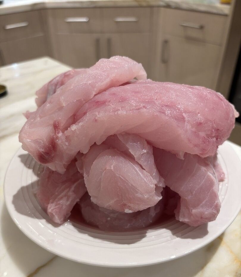 Fresh raw fish fillets displayed on white plate in kitchen