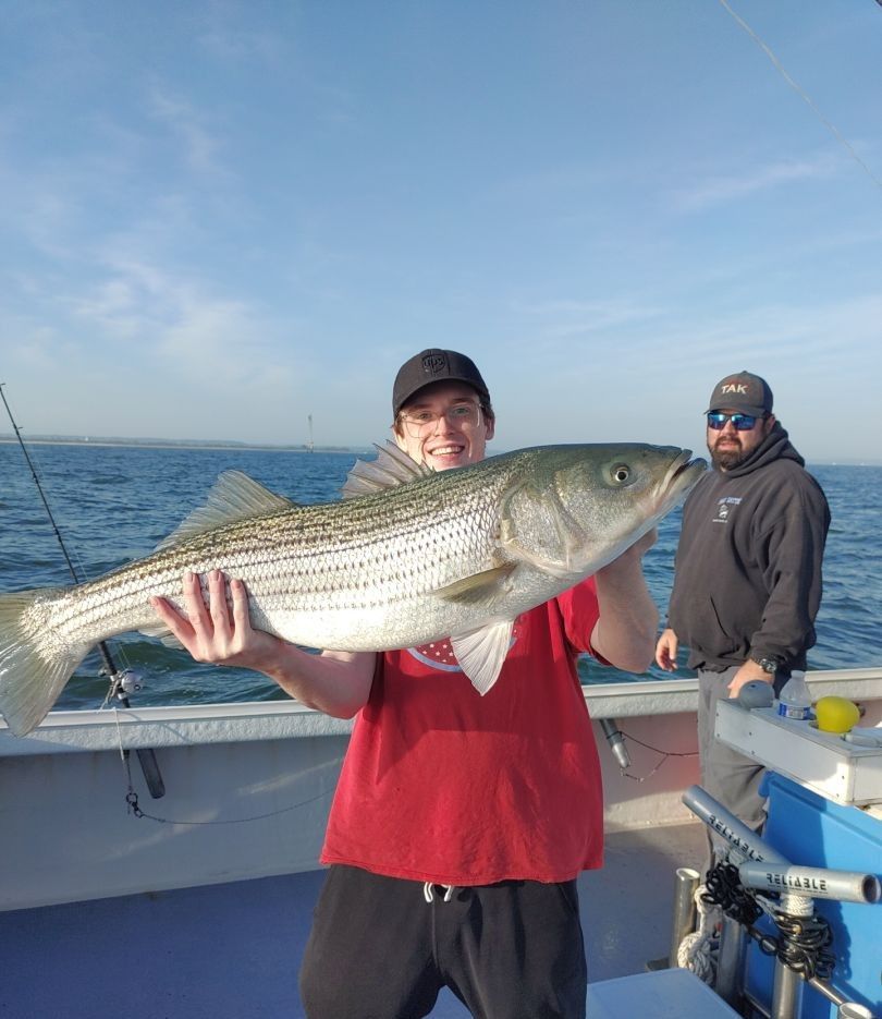 Striped bass caught while fishing