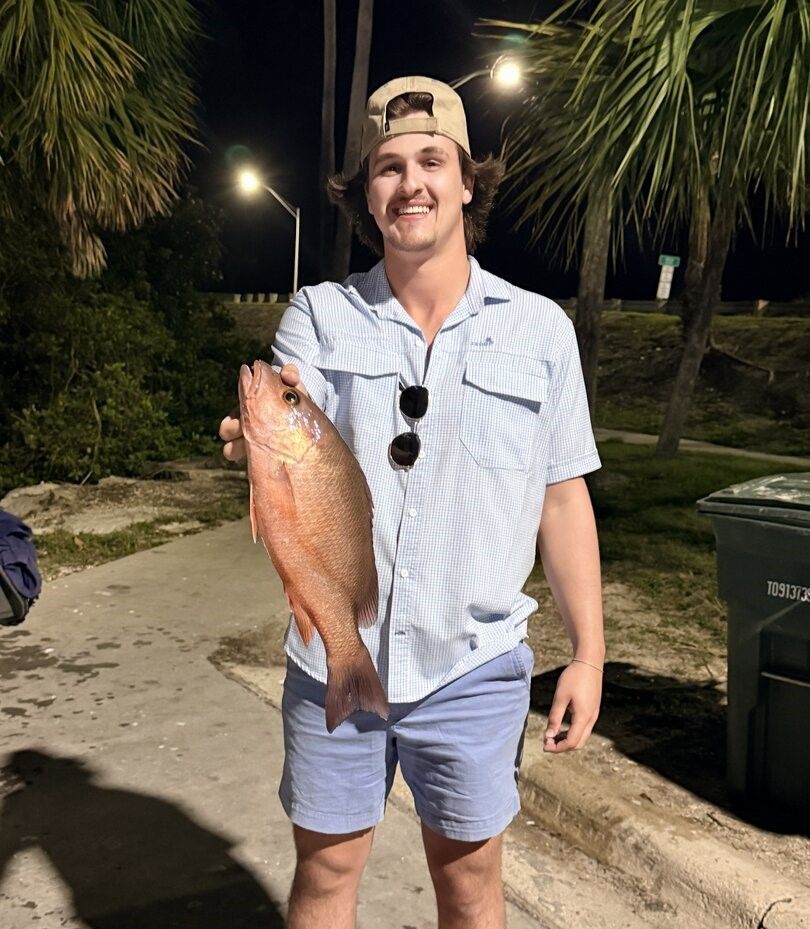 Grey snapper catch displayed outdoors at night under street lighting with palm trees
