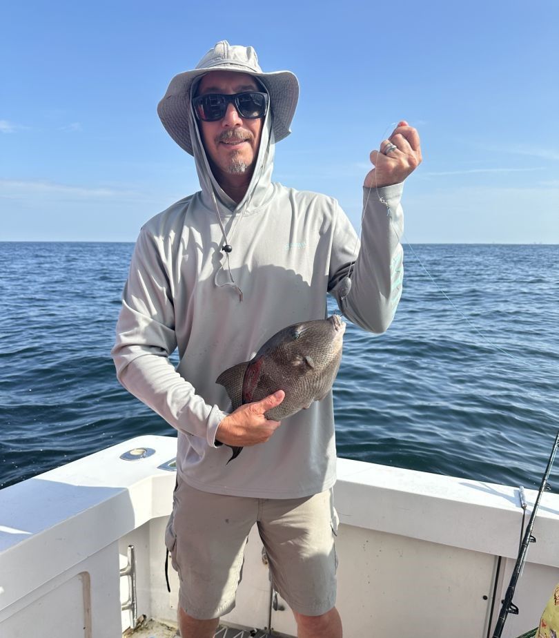 Grey triggerfish caught during offshore fishing trip