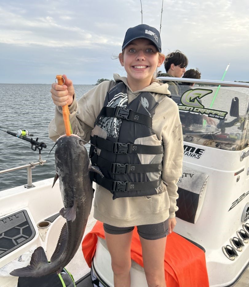 Hardhead Sea Catfish caught while fishing