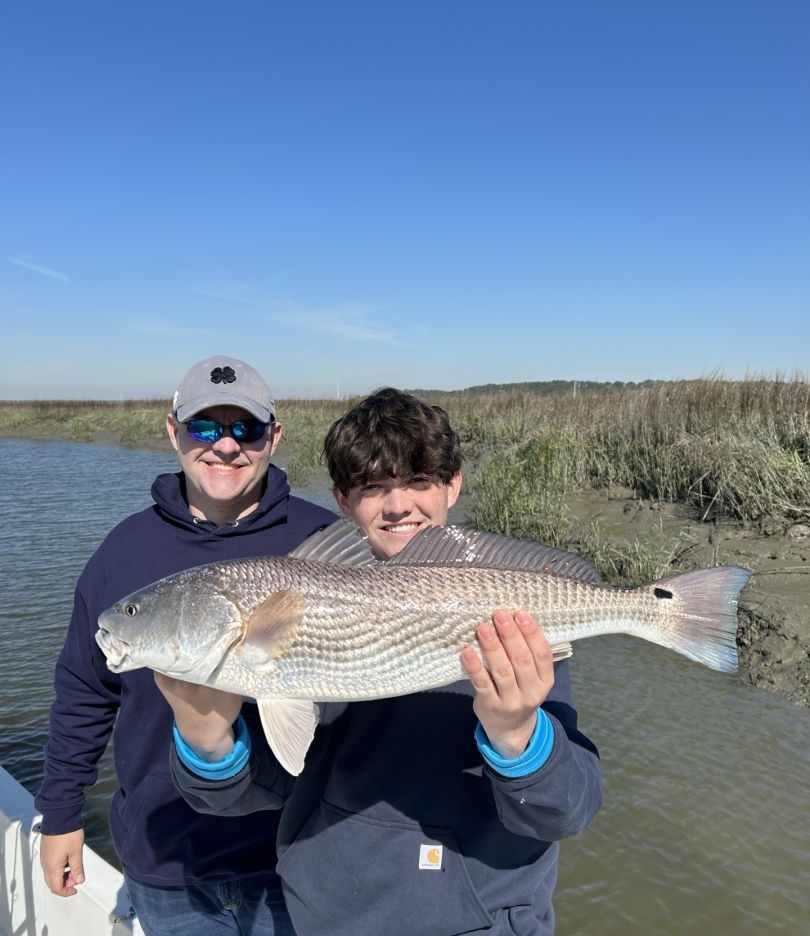 Redfish measuring 31 inches caught while fishing