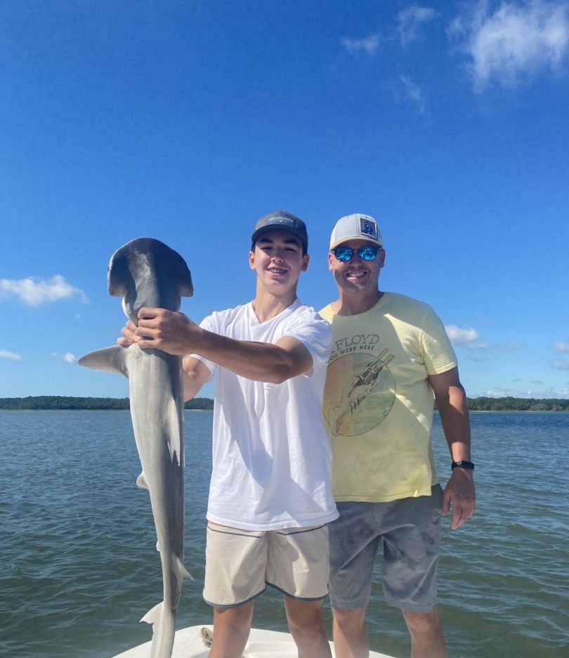 Two sandbar sharks, 27 inches long, being fished