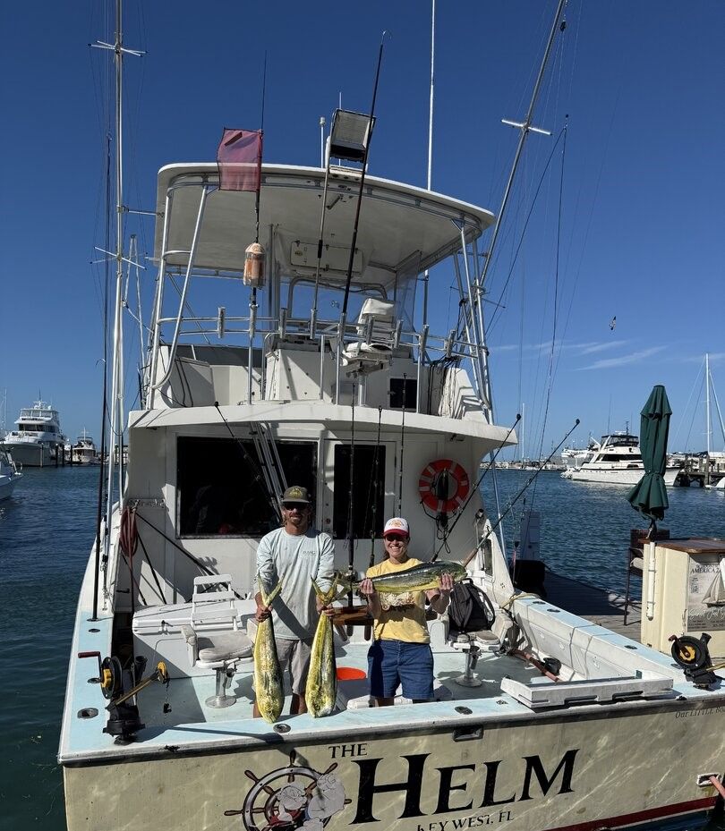 Three mahi mahi fish displayed on fishing boat deck at marina
