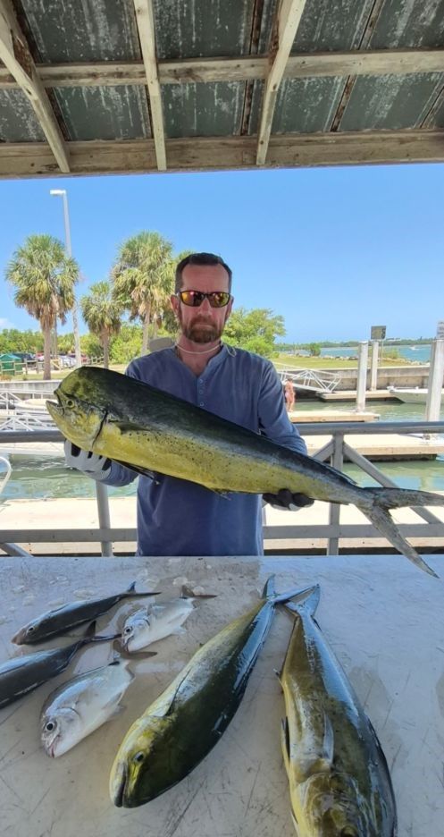 Fresh caught mahi mahi displayed on cleaning table at marina dock