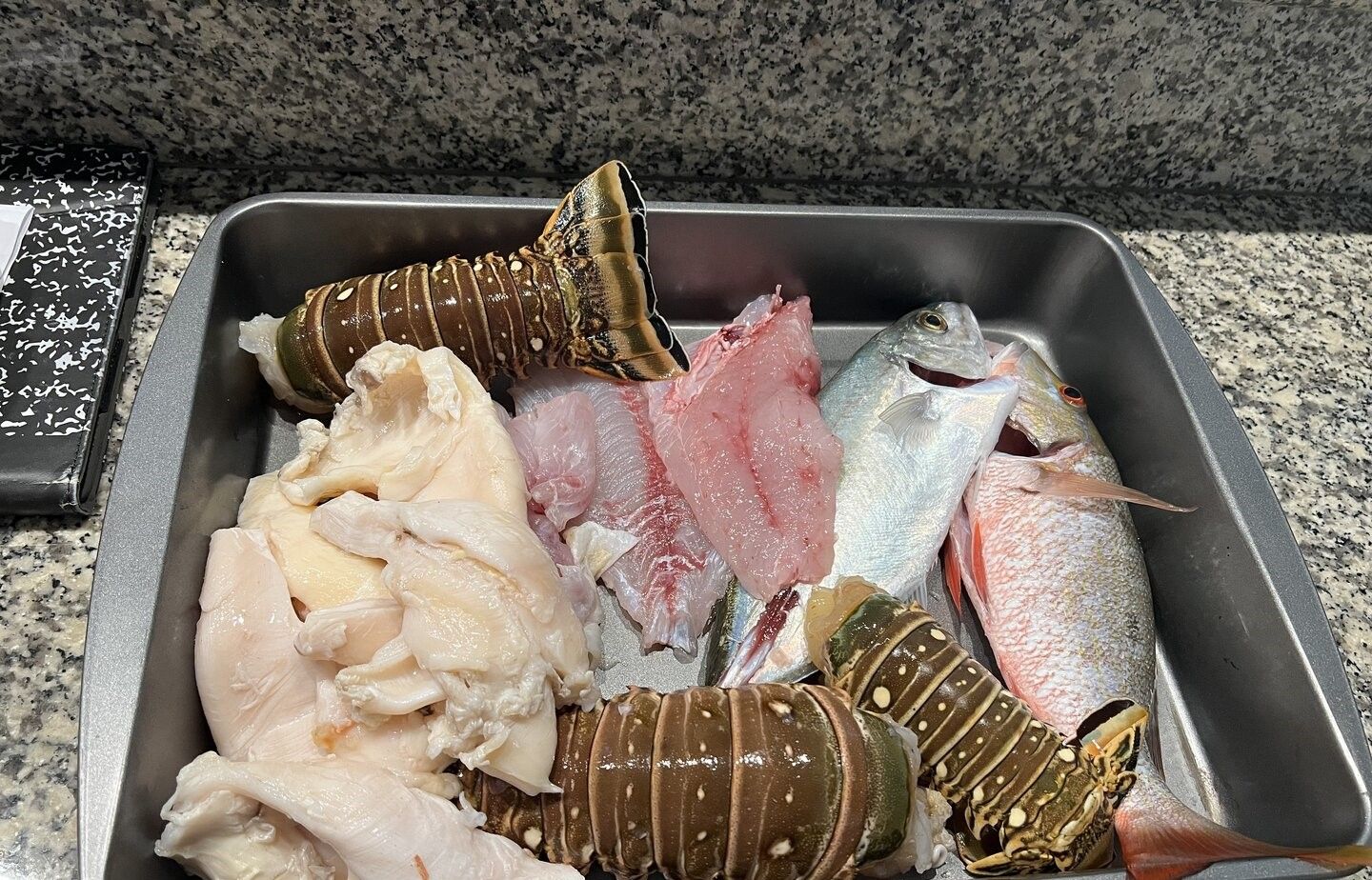 Fresh caught mutton snapper and lobster displayed in metal tray on granite counter