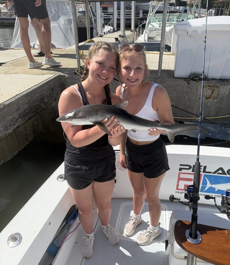 Angler catching a Picked Dogfish