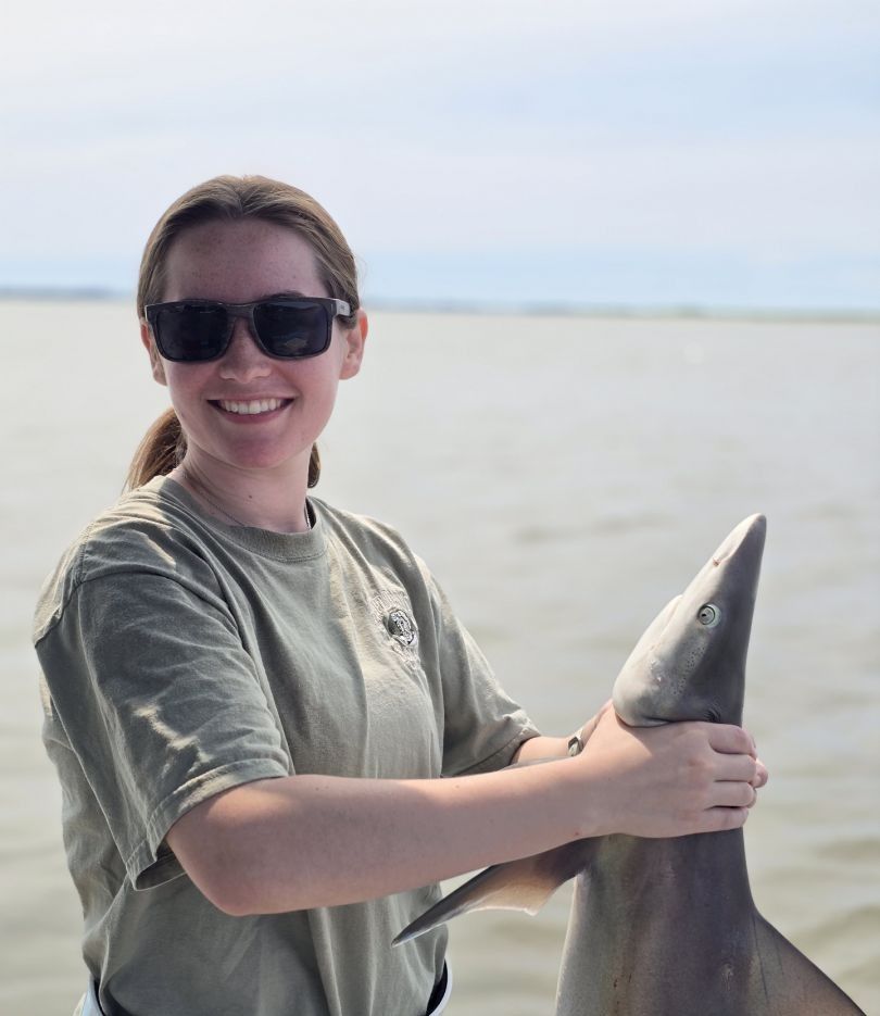 Picked dogfish caught fishing