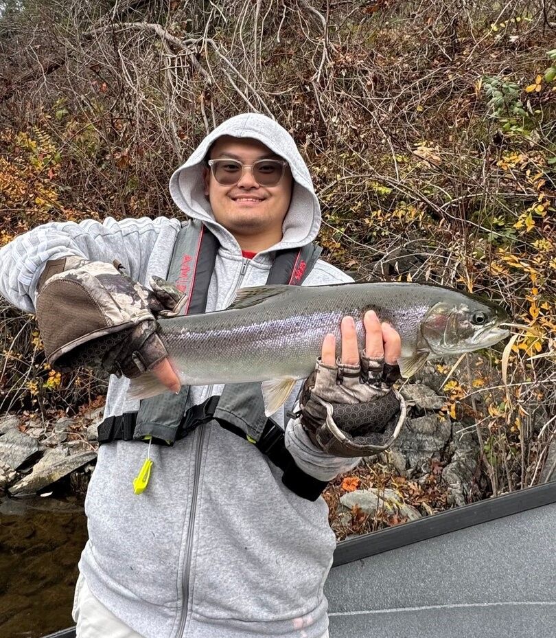 Rainbow trout catch displayed outdoors during fishing trip
