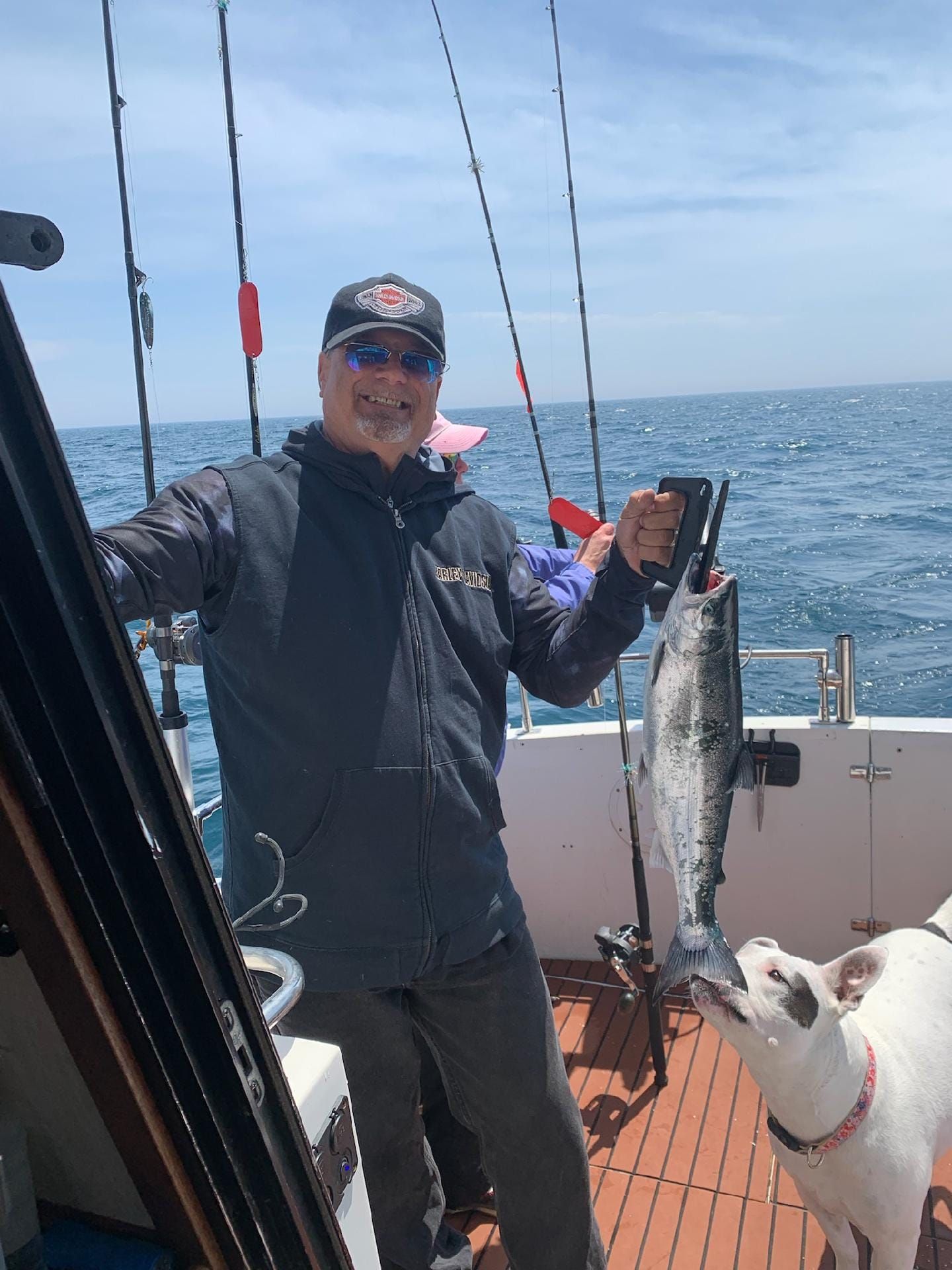 Rainbow trout caught fishing