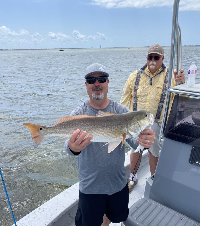Freshly caught redfish being displayed on fishing boat