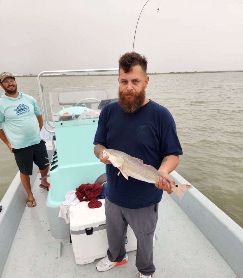 Freshly caught redfish being displayed on fishing boat
