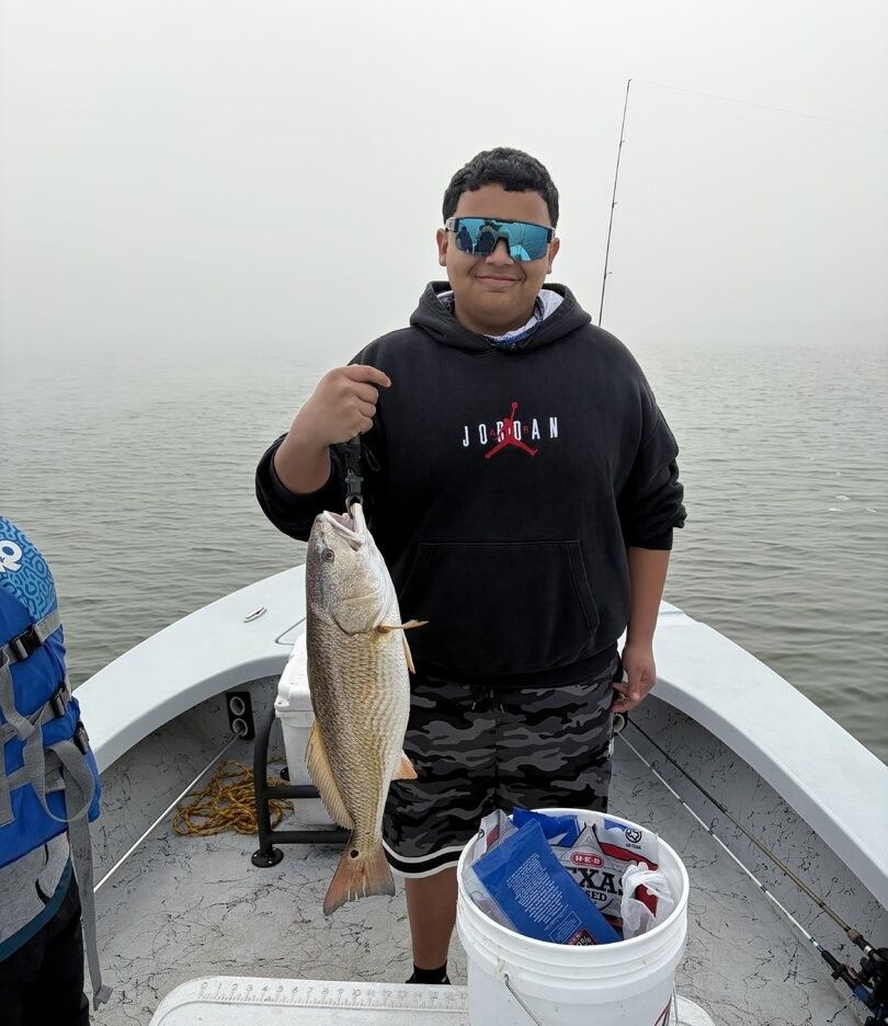 Freshly caught redfish being held on fishing boat