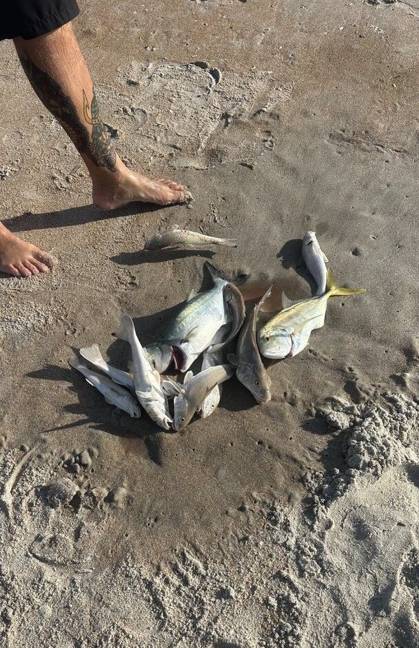Fishing at a scenic location