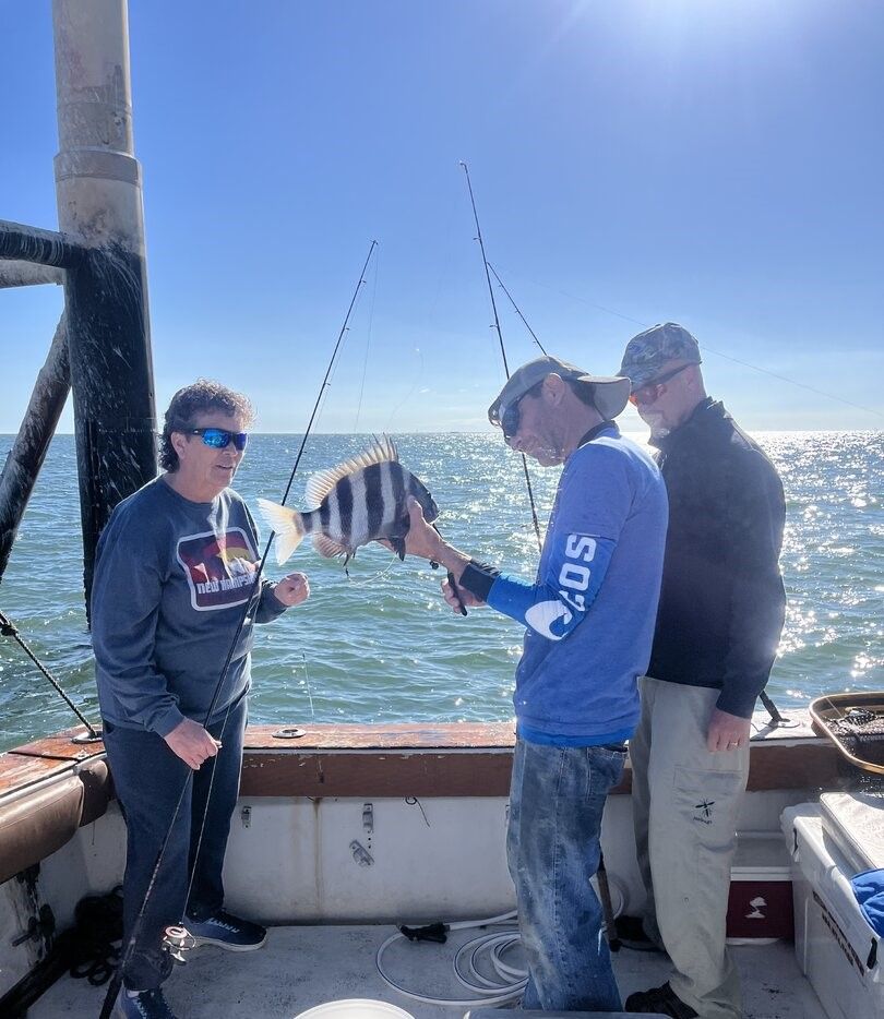 Sheepshead fish being held on fishing boat deck with ocean in background
