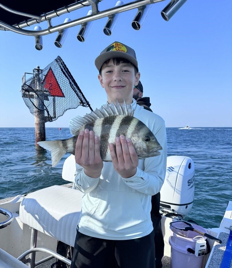 Freshly caught sheepshead fish being held on fishing boat over ocean water