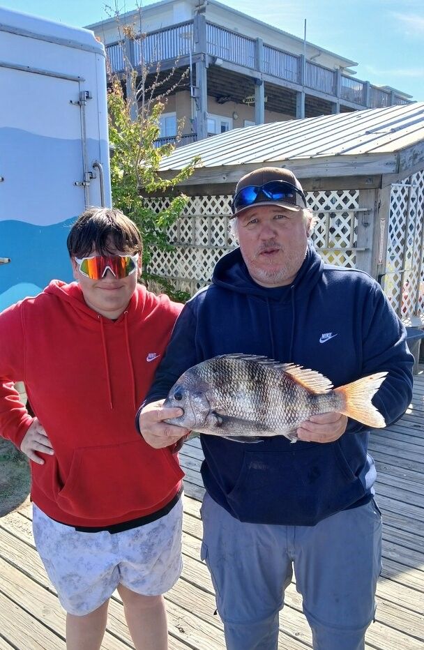 Two people holding a freshly caught sheepshead fish on a wooden dock