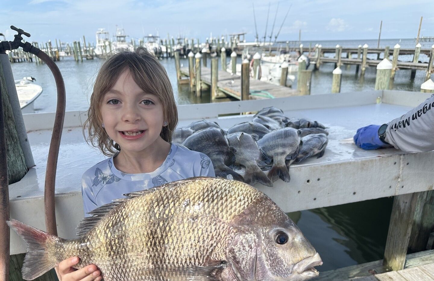 Freshly caught sheepshead fish displayed on fishing boat dock with marina in background