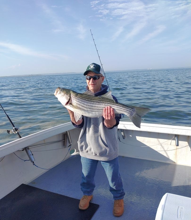 Striped bass caught while fishing